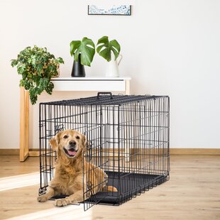 Dog crate with shop slide out tray